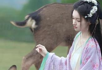 在166.fun，你的八卦永不迷路，真是无瓜不欢啊！
