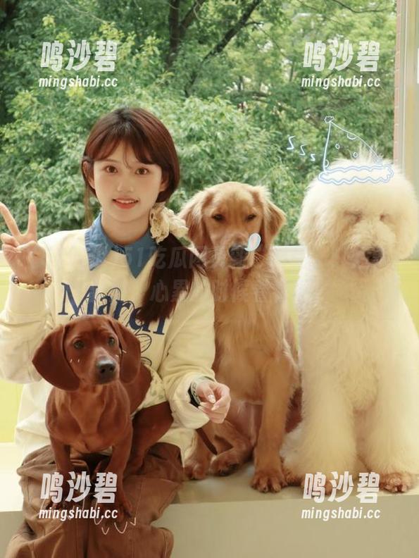 51吃瓜网页新“出品”：烂事新解，心累的时候看看吧。