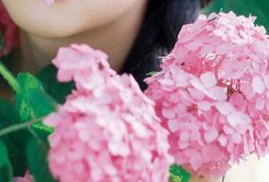 下载吃瓜网app，开启你的吃瓜生涯，别怪我没有盘活你的八卦细胞！