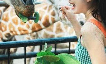 用一秒下载黑料不打烊tttzzz，畅游吃瓜入口的大世界！